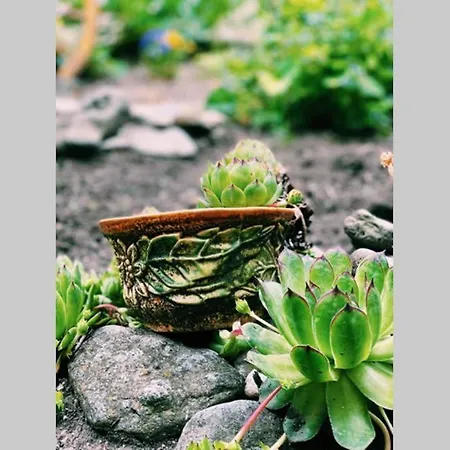 Cute Little House With A White Picket Fence * Burgas City